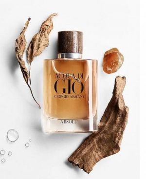 GiorgioArmaAcqua_di_gio_absolu_100ml