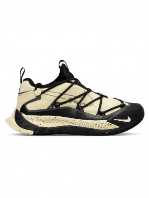 Nikee ACG Air Terra Antarktik GORE-TEX