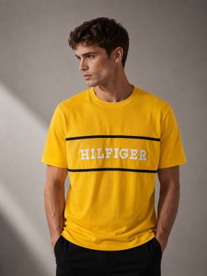 TOMMMY HILFIGER Premium Quality Round Neck Tshirt GZ_0364