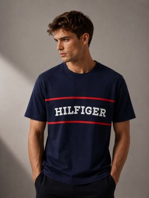 TOMMMY HILFIGER Premium Quality Round Neck Tshirt GZ_0365