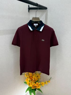 Lacost Maroon Polo Premium Collar Neck T-shirt F5019-MA