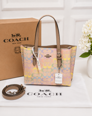Coacch Mollie 66105 Multi Color SmallTote With OG Box & Dust Cover 66105 Rainbow