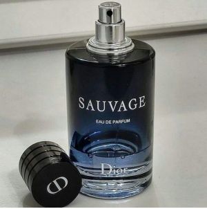 Dio Sauvage eau de parfum 100ML