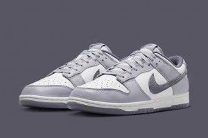 Nikke Sb Dunk Low Se Light Carbon 499