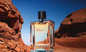 Herm Terre D EDT 100ML