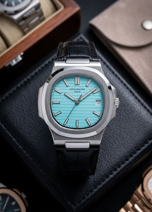 Pate_ Philippe Nautilus - Leather Strap WC 2017
