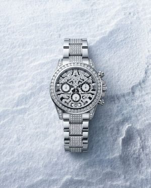 Rolee_x Oyster Perpetual Tiger Silver