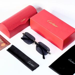 Cartie 5422 silver black