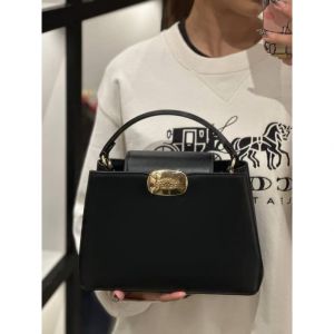 Coacch_eliza_carryall_satchelbag_with_ogbox_carrybag_413