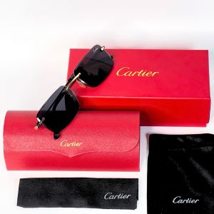 Cartie 5419 silver black