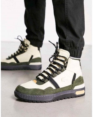 Lacostee T Clip Winter Mid Beige Dark Green