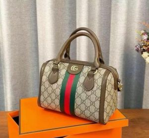 _Guccci _speedy_mini_bag_with_dust_and_carry_bag(866)