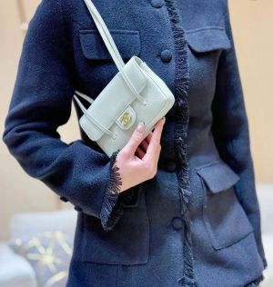 Chaneel Preppy Leather Coco Small Flap Bag With OG Box & Dust cover 2113 Blue
