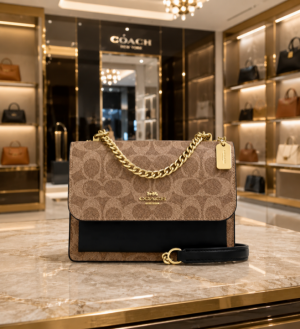 Coac_crossbody lady bed with box carrybag 6744