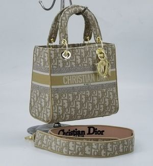 Christian_DIO_LADY_BAG_WITH_BRAND-BOX_GRY_CARRY_BAG_6753