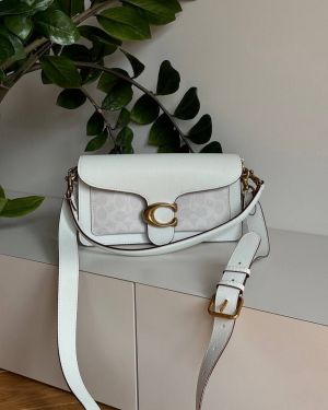 COAC_tabby_sig-cc-26_leather_shoulder_bag_with_box_5855