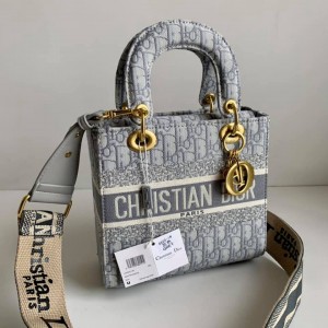 Christian_DIO_LADY_BAG_WITH_BRAND-BOX_GRY_CARRY_BAG_728