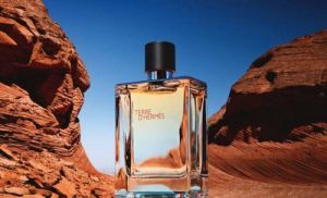 Herm Terre D EDT 100ML