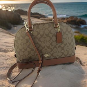 coatch-alma-sling-bag-with-box-dustbag-5461